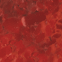 01 - Coral