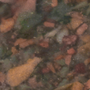 05 - Desert Jasper