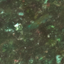 11 - Green Fuschite
