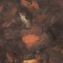 03 - Red Tiger Eye