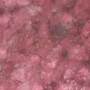 04 - Thulite