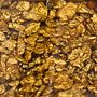 07 - Alaskan Gold Nugget